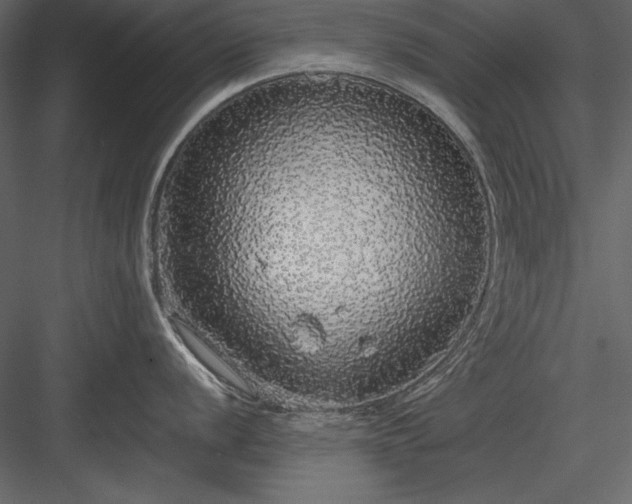 X0000084001056200702232132