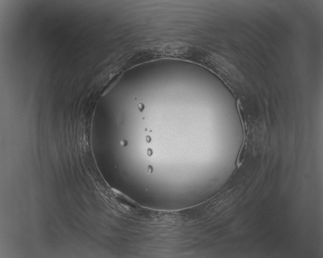 X0000084001058200702232132