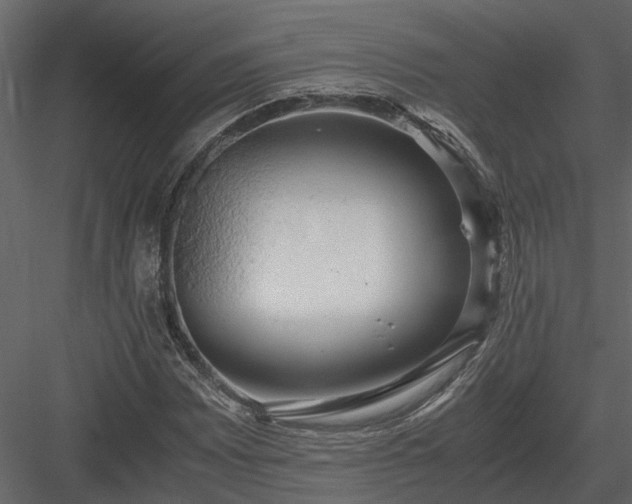 X0000084001065200702232132
