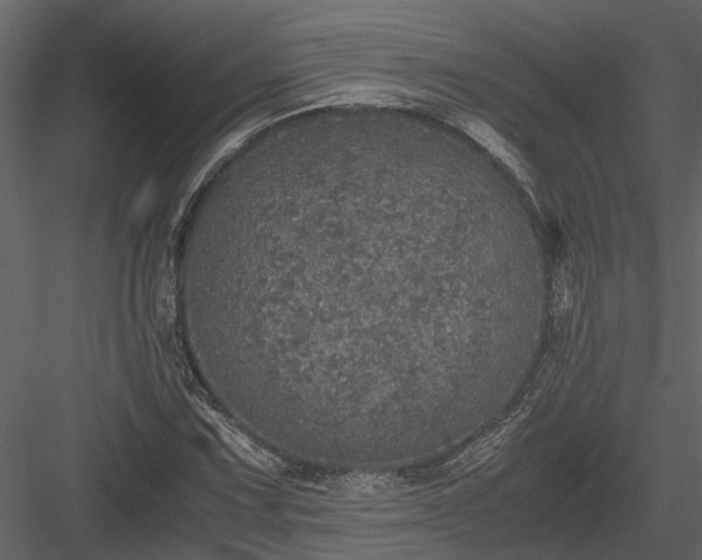 X0000084001067200702232131
