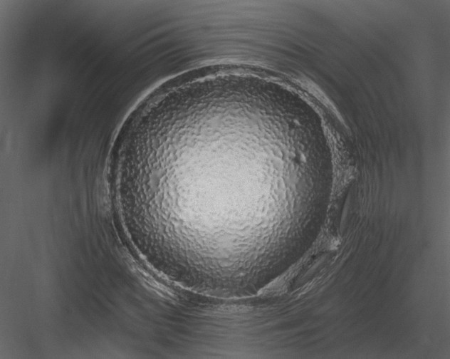 X0000084001068200702232131