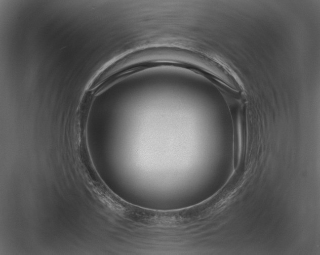 X0000084001069200702232131
