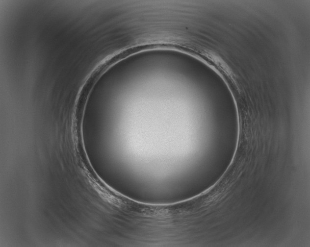 X0000084001072200702232131
