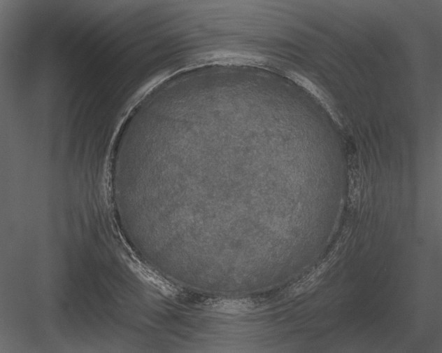 X0000084001074200702232131