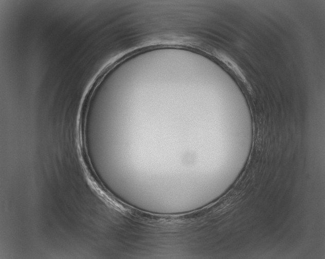 X0000084001080200702232131