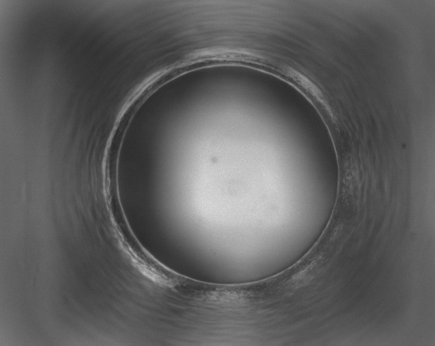 X0000084001082200702232131