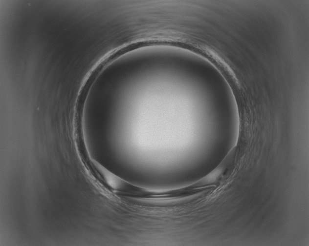X0000084001085200702232131