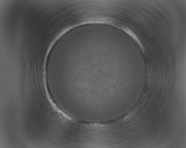 X0000084001088200702232131