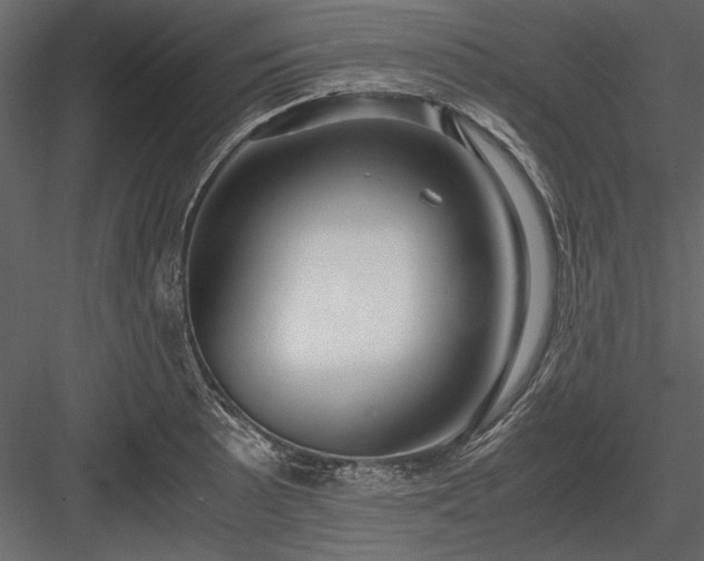 X0000084001089200702232131