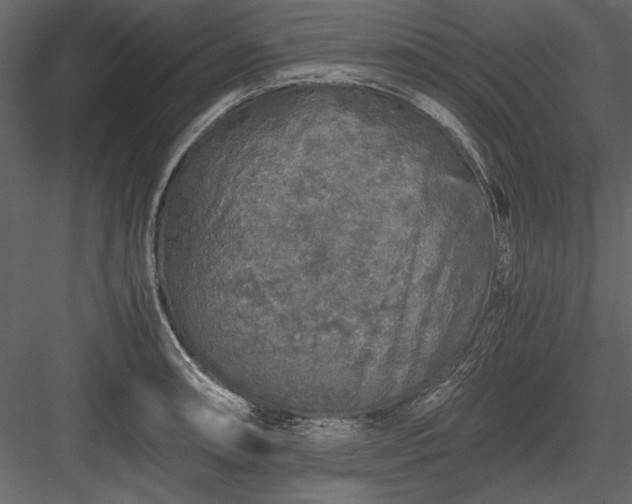 X0000084001090200702232131