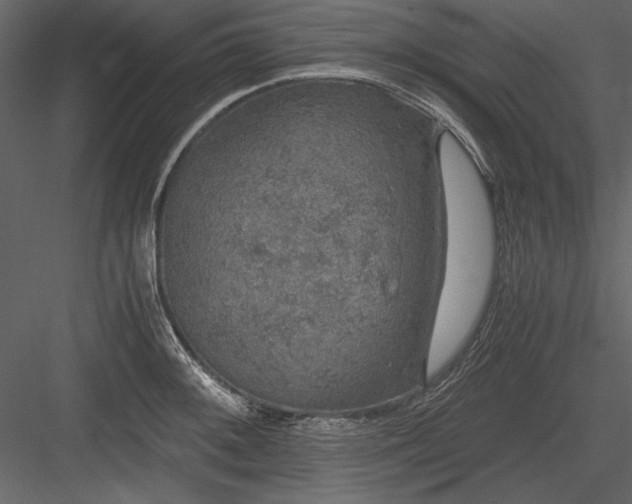 X0000084001092200702232131