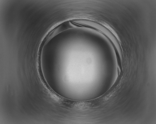 X0000084001093200702232131