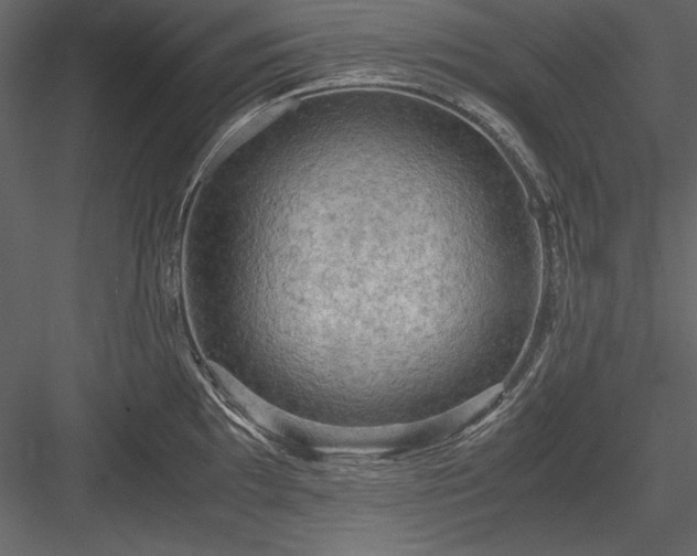 X0000084001097200702232131