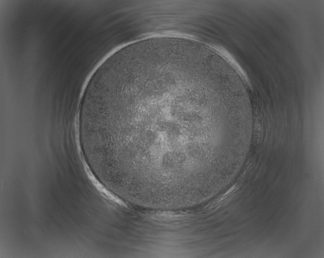 X0000084001100200702232131