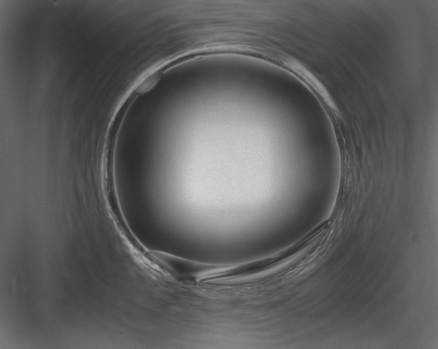 X0000084001101200702232131
