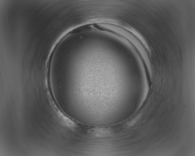 X0000084001102200702232131
