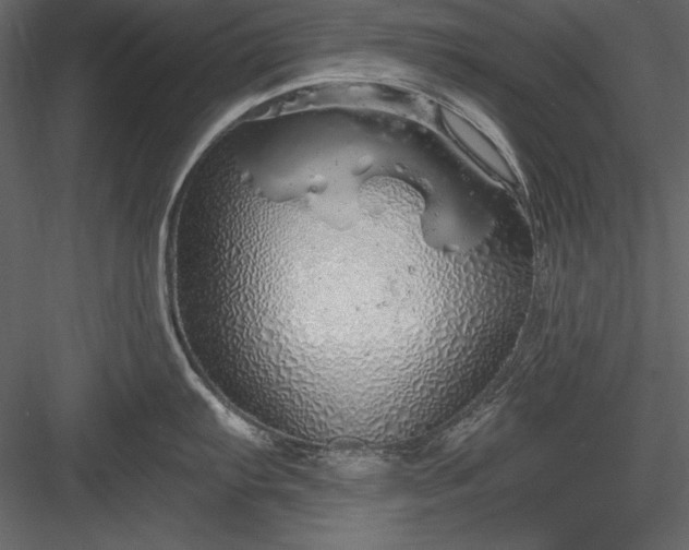 X0000084001103200702232131
