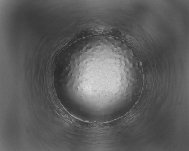 X0000084001105200702232130