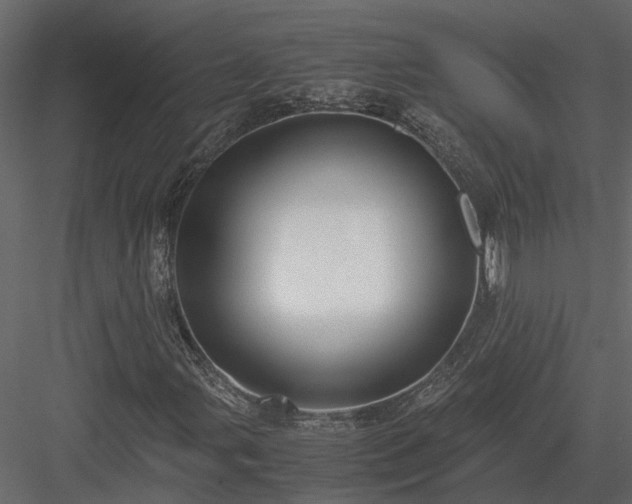 X0000084001107200702232130