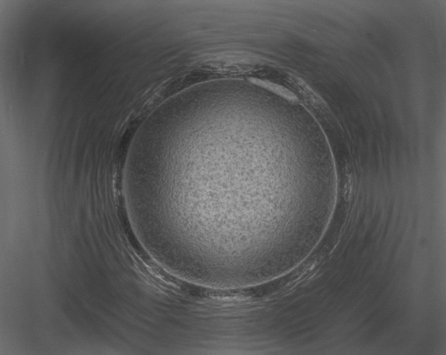 X0000084001108200702232130