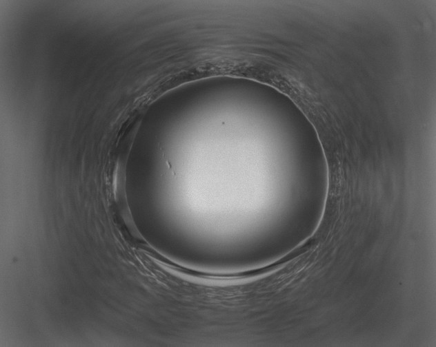 X0000084001109200702232130