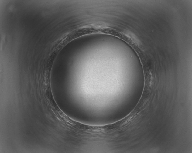 X0000084001110200702232130