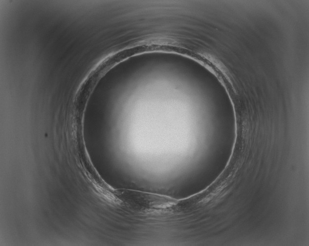 X0000084001115200702232130