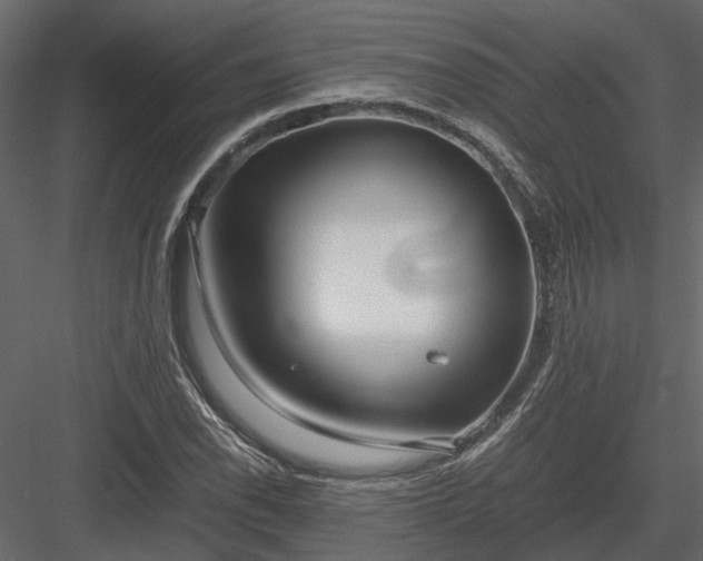 X0000084001118200702232130