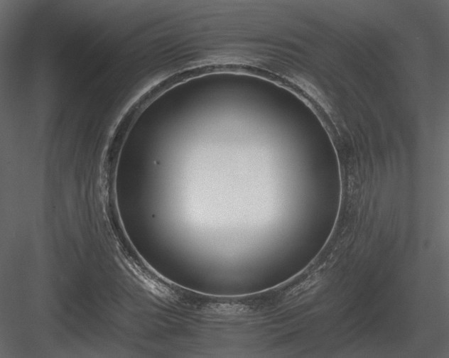 X0000084001119200702232130