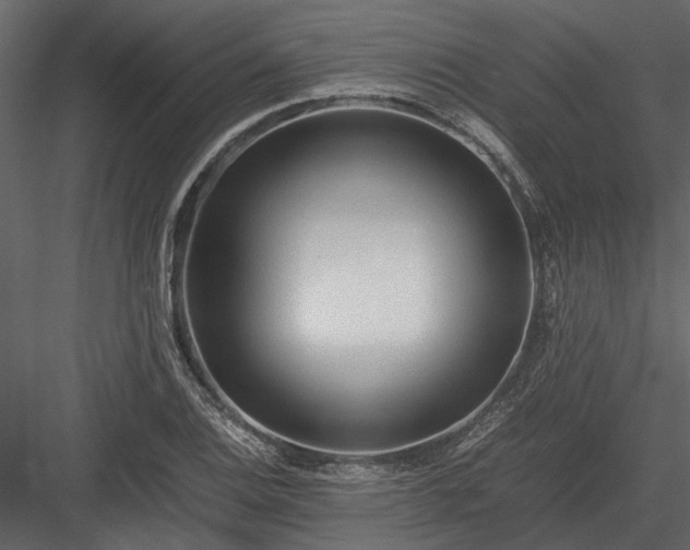X0000084001124200702232130
