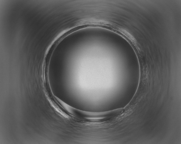 X0000084001128200702232130