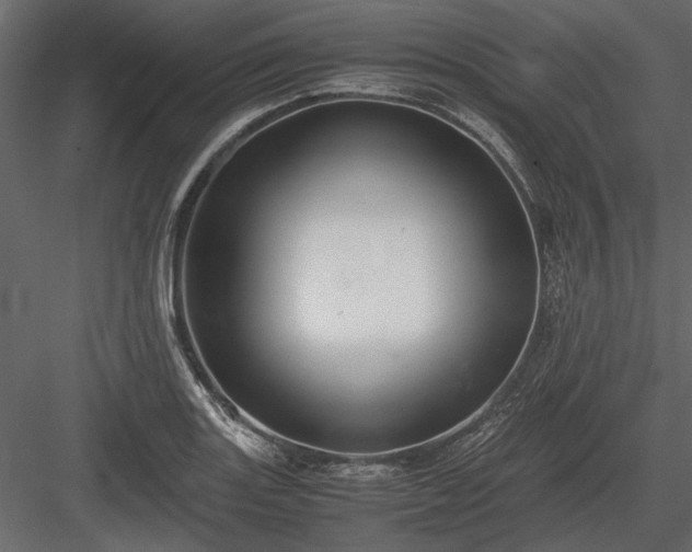 X0000084001131200702232130