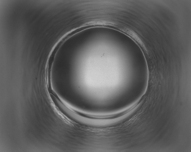 X0000084001132200702232130