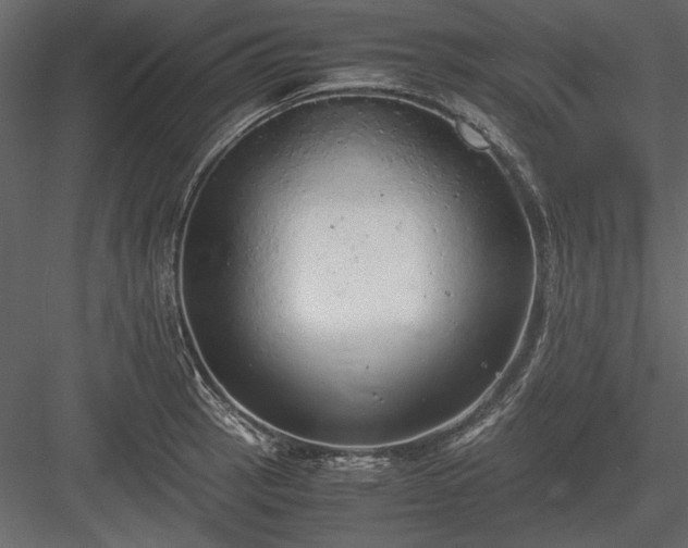 X0000084001137200702232131