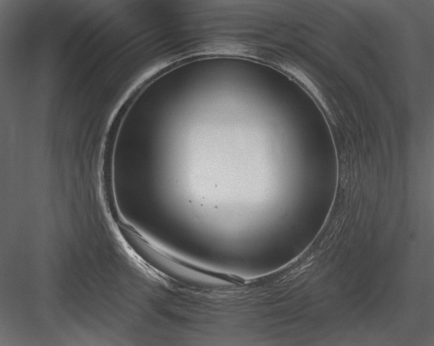 X0000084001139200702232131