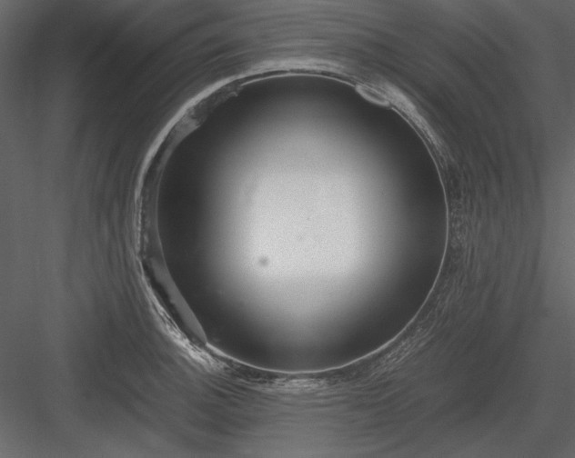 X0000084001140200702232131