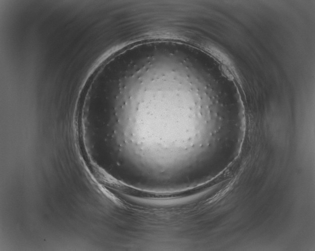 X0000084001141200702232131