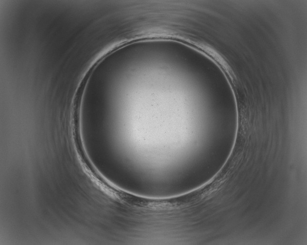 X0000084001142200702232131
