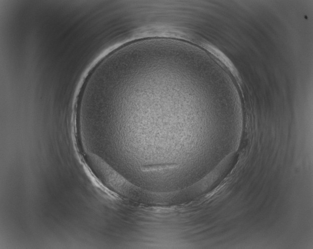 X0000084001144200702232131