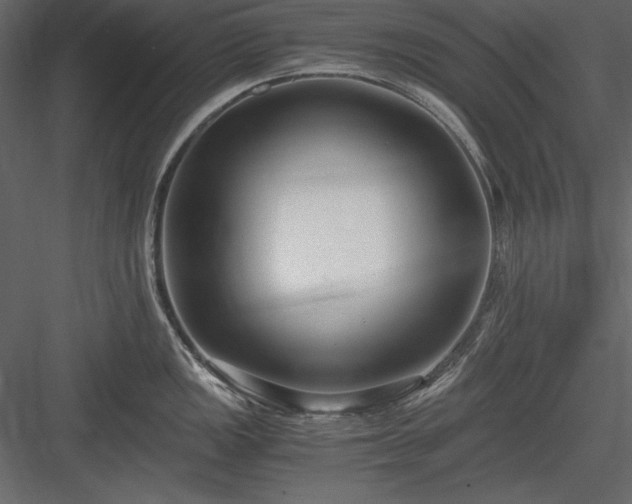 X0000084001149200702232131