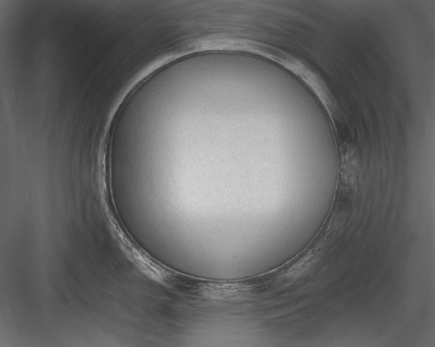 X0000084001150200702232131