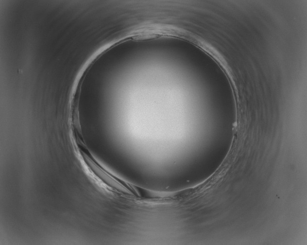 X0000084001152200702232131