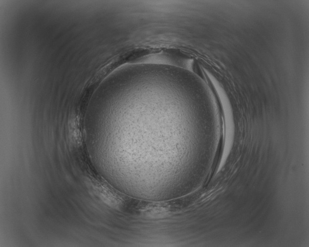 X0000084001156200702232130