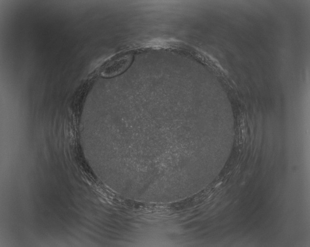 X0000084001158200702232130