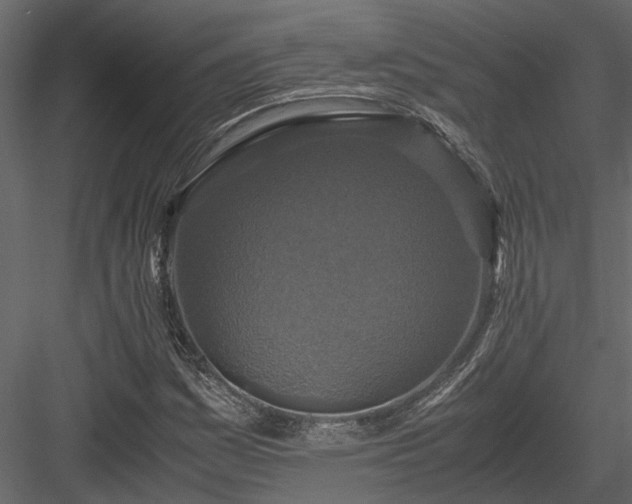 X0000084001161200702232130