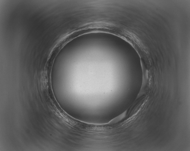 X0000084001164200702232130