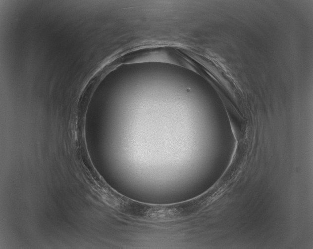 X0000084001165200702232130