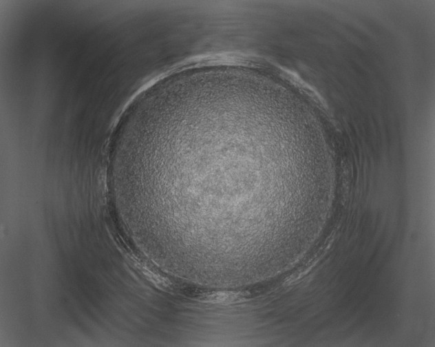 X0000084001166200702232130