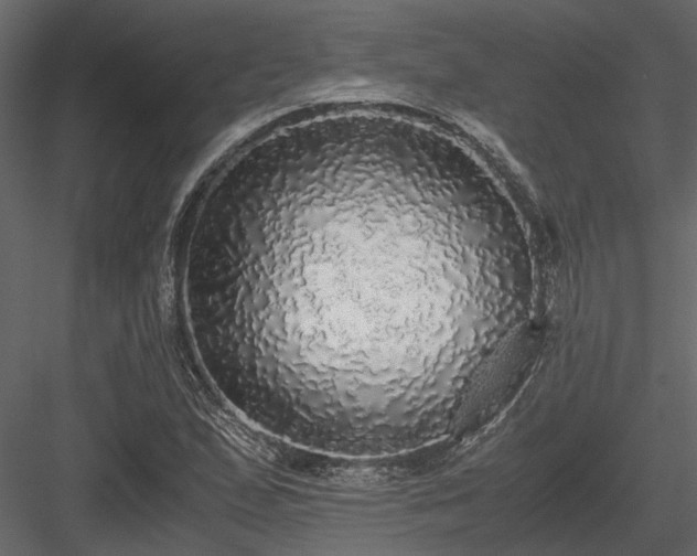 X0000084001167200702232130