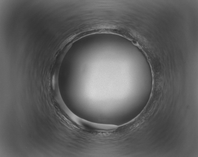 X0000084001169200702232130